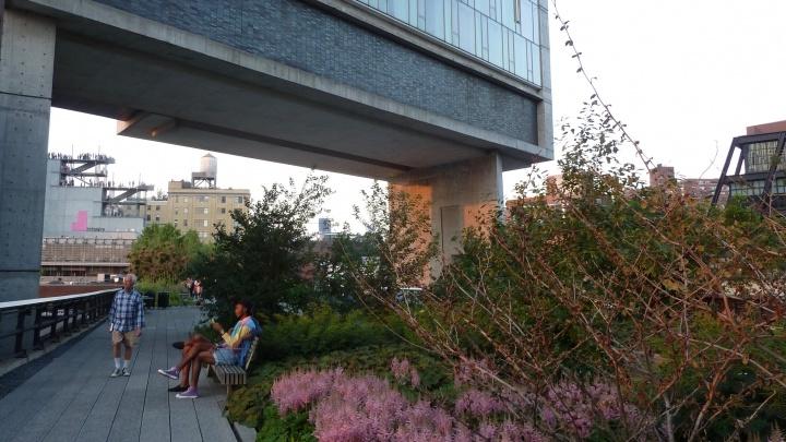 people in an elevated garden in a city