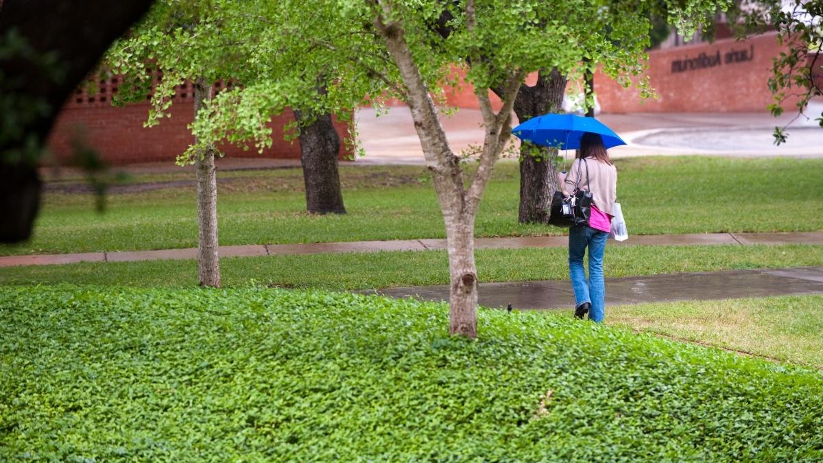 Person walking with umbrella on the campus
