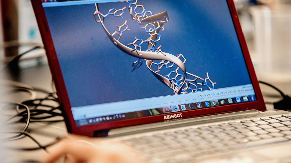 Simulation of DNA double-helix displayed on a computer screen